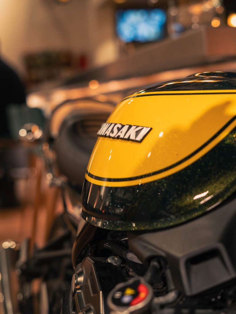 Jeune femme en robe rouge, posant au milieu d'une nature verdoyante.